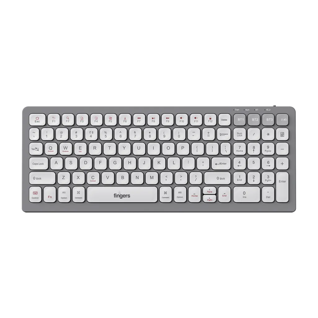 ComboRegal-D4 03.webp